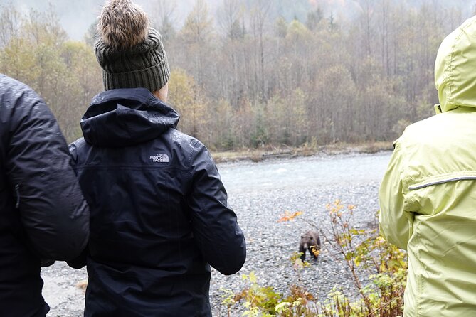 Campbell River: Bute Inlet Grizzly-Watching Tour & Boat Ride - Should you book Campbell River Bute Inlet grizzly watching?