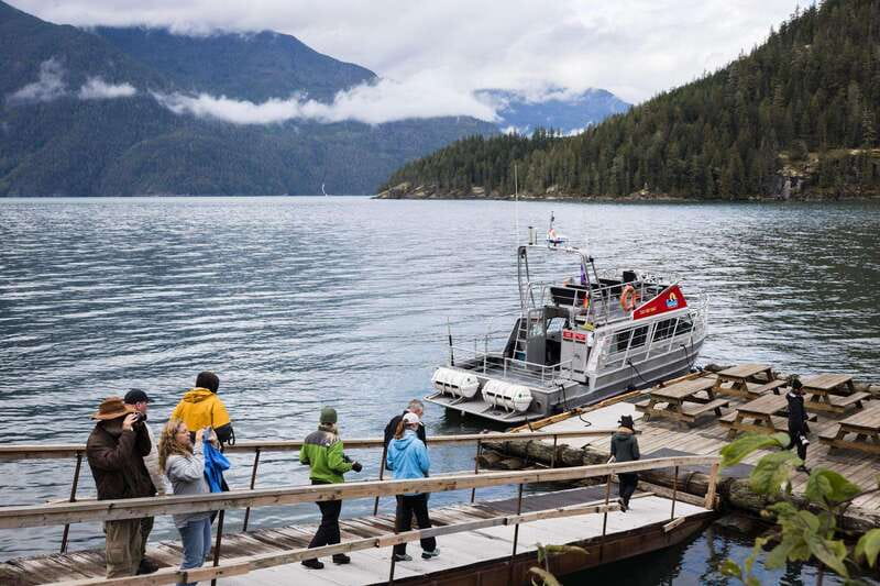 Campbell River: Bute Inlet Grizzly-Watching Tour & Boat Ride - Who this tour fits best (and who might want something else)
