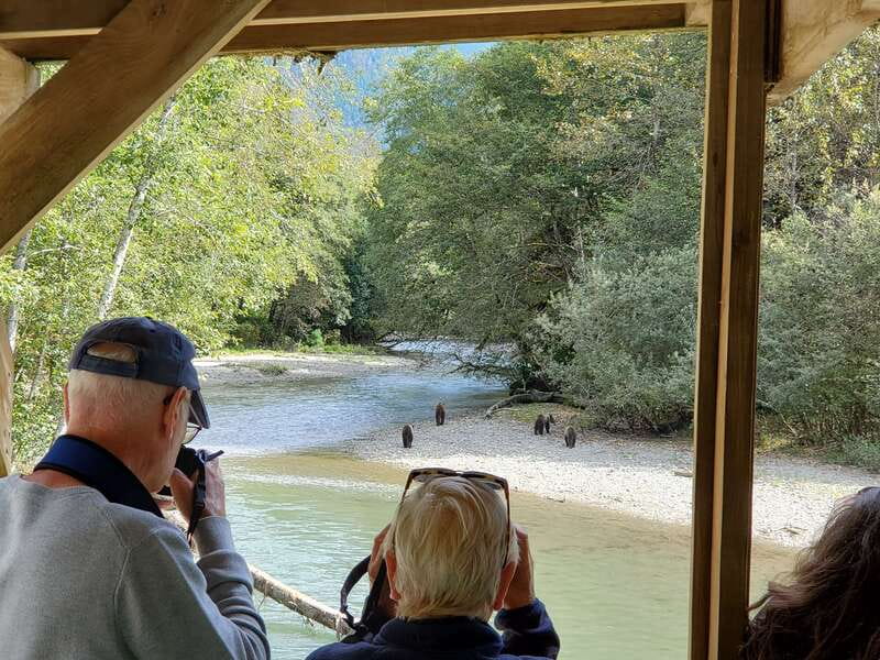 Campbell River: Grizzly Bear-Watching Tour with Lunch - A Full Day in Homalco Territory, From Campbell River to Orford Bay
