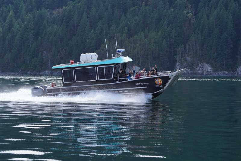 Campbell River: Grizzly Bear-Watching Tour with Lunch - Price and Value: Why $460 Can Make Sense Here