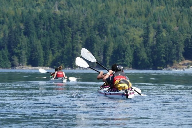 Campbell River: Kayaking and Whale Watching Tour - Campbell River, built for humpbacks, orca, and close-up wildlife time