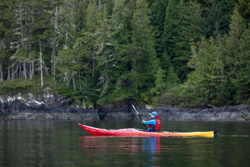 Campbell River: Kayaking and Whale Watching Tour - My decision guide: should you book Campbell River kayaking with whales?