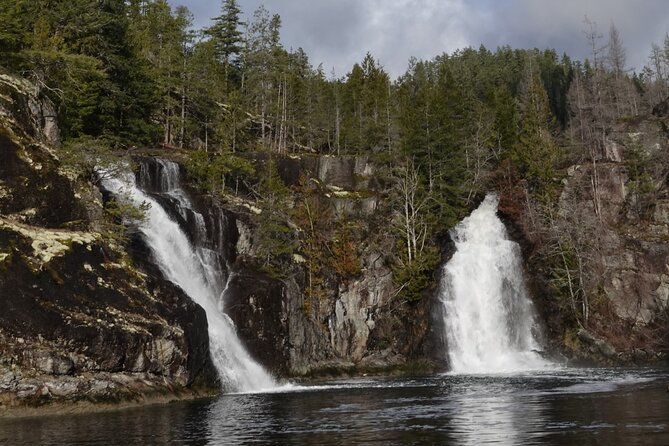 Campbell River: Spring Bear Watching & Waterfalls Boat Tour - Key Highlights Worth Your Attention