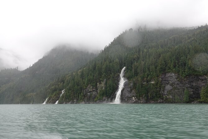Campbell River: Spring Bear Watching & Waterfalls Boat Tour - What You Might See: Sea Lions, Orcas, Sea Birds, and Spring Bears