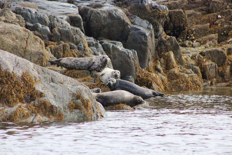 Campbell River: Whale Watching and Wildlife Viewing Day Tour - Onboard comfort details that make a long day actually feel manageable