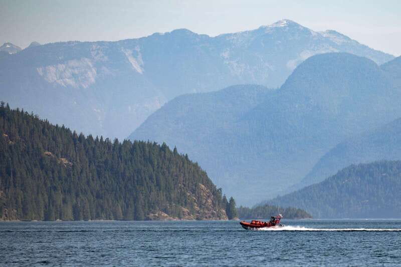Campbell River: Whale & Wildlife Discovery Cruise - Hydrophones and the Naturalist: How You Learn While You Watch