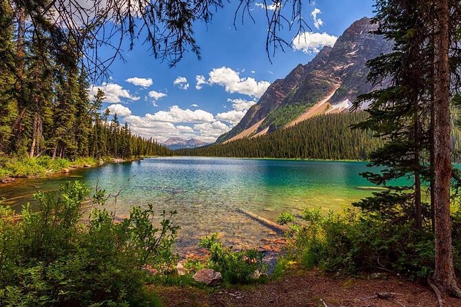 Canadian Rockies and Banff 4-Day Tour from Vancouver (Chn&Eng) - Day 3 Icefields Parkway to Jasper: Bow Lake, Athabasca Glacier Options, and Peyto Lake