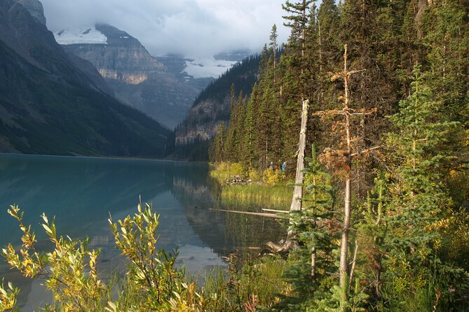 Canadian Rockies Golden Hour Tour | Lunch Included - Bow Lake at first light: reflections, colors, and what to wear