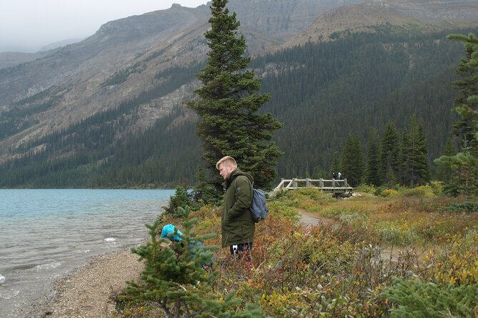 Canadian Rockies Golden Hour Tour | Lunch Included - Abraham Lake: a long, quiet morning and a very old limber pine