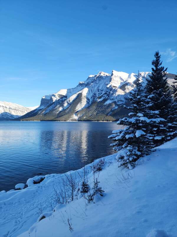 Canmore/Banff: Explore Banff & Wildlife - Wildlife and viewpoints, the practical Banff combo
