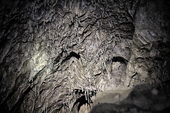 Canmore Caving Explorer Tour - Inside Rat’s Nest Cave: chambers, stalactites, and moving in the dark
