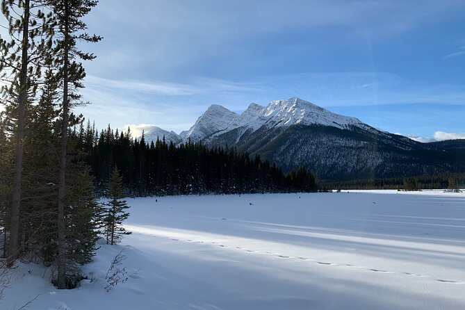 Canmore: Lost Towns and Untold Stories Hiking Tour - 3hrs - Lost mining-towns hiking tour from Canmore, 3 hours in Kananaskis Country