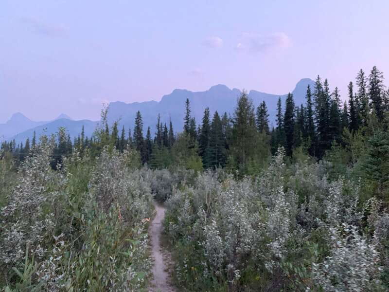 Canmore: PRIVATE SAFARI Drive to BANFF Park & Nature Walk - Seasonal reality: weather can change the walk