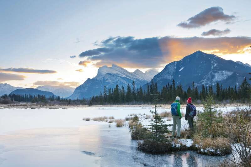 Canmore: PRIVATE SAFARI Drive to BANFF Park & Nature Walk - Wildlife spotting odds: what to expect, and how to set yourself up