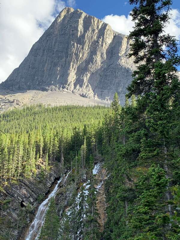 Canmore: PRIVATE SAFARI Drive to BANFF Park & Nature Walk - Safety and comfort: bear spray, first aid, and what that means
