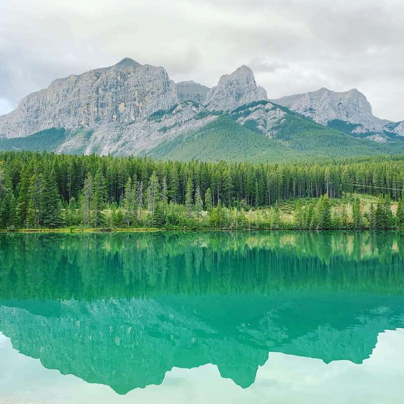 Canmore: PRIVATE SAFARI Drive to BANFF Park & Nature Walk - Getting your Banff park pass and the “no hassle” start