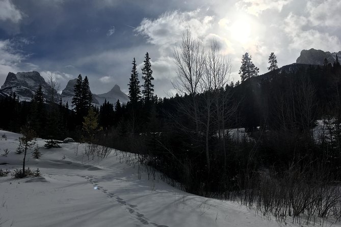 Canmore: Stargazing and Nature by Nightfall Walking Tour - 2hr - Your guide: where the night becomes more than looking up