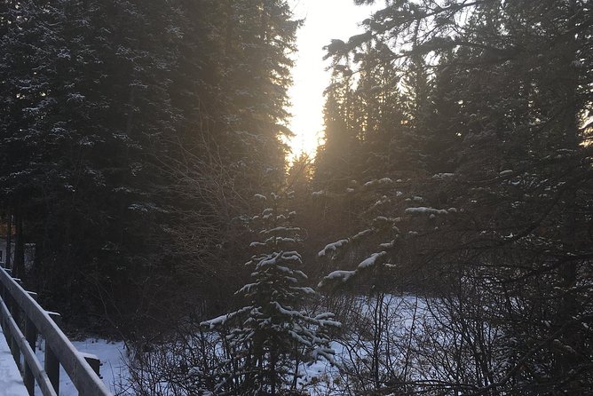 Canmore: Stargazing and Nature by Nightfall Walking Tour - 2hr - How the equipment and safety piece really helps you enjoy the night