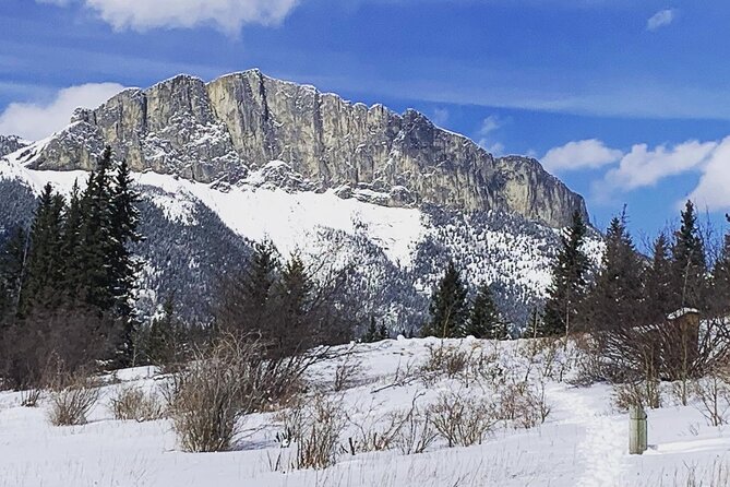 Canmore: Wilderness & Wildlife Tour - 2hr Walk - What to expect on the trail: snow, water, and elusive sightings