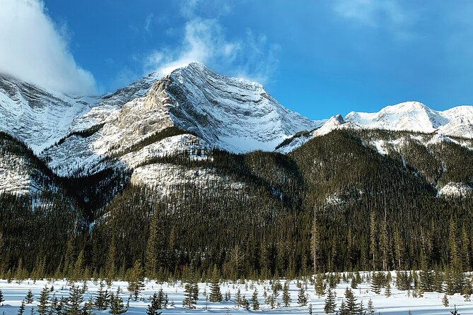 Canmore: Wilderness & Wildlife Tour - 2hr Walk - Why the guide makes the difference: Ewan and Jacob in the mix