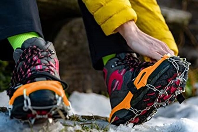 Canmore: Wilderness & Wildlife Tour - 2hr Walk - Small-group pacing (max 12) that feels human