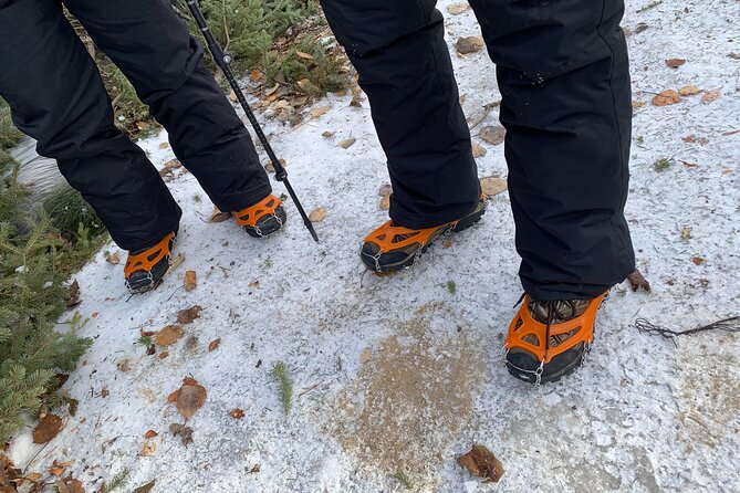 Canmore: Wilderness & Wildlife Tour - 2hr Walk - Price and value: is $90.07 worth it?