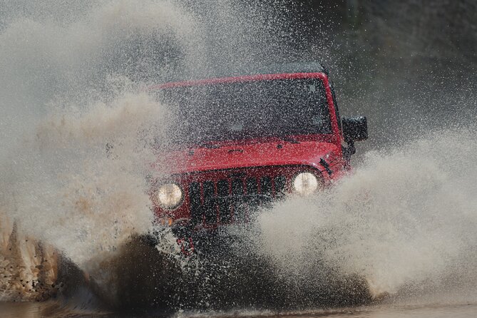 Cape Breton Jeep Adventure (4hr) - Key highlights before you go