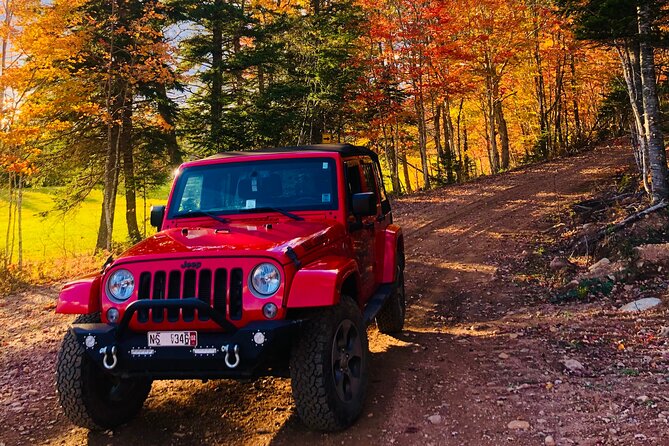 Cape Breton Jeep Adventure (4hr) - Stop 1 in Margaree Valley: river cruise, ATV trails, cabins, and vistas