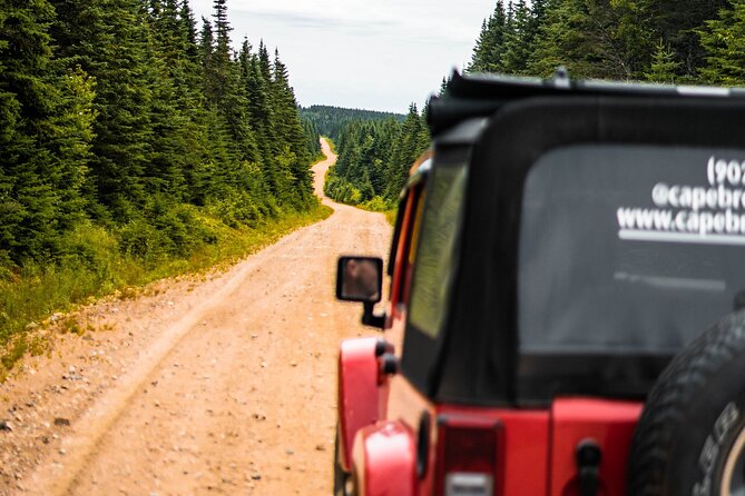 Cape Breton Jeep Adventure (4hr) - The red Jeep experience: comfort, air-conditioning, and that removable roof