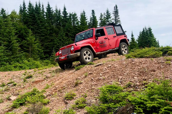 Cape Breton Jeep Adventure (4hr) - The 4-hour pacing: enough time to move, not enough to feel rushed