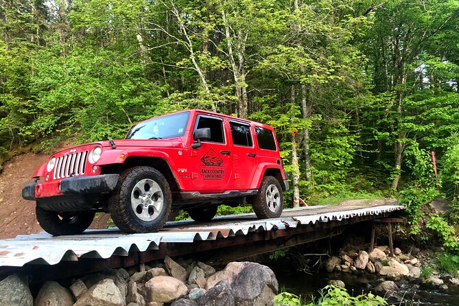 Cape Breton Scenic Jeep Adventure - The 2-hour plan: Cabot Trail, Valley View Chalets, hatchery, and Margaree Valley
