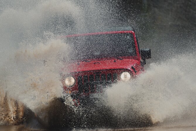 Cape Breton Scenic Jeep Adventure - Comfort and planning tips for open-air roof moments