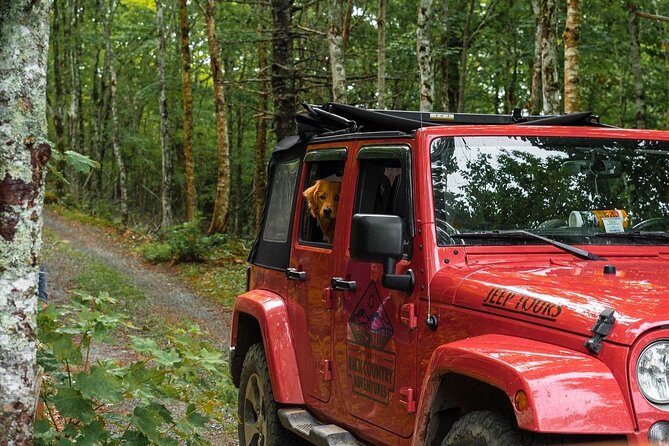 Cape Breton Scenic Jeep Adventure - Where you start, where you end, and how to fit it into your day