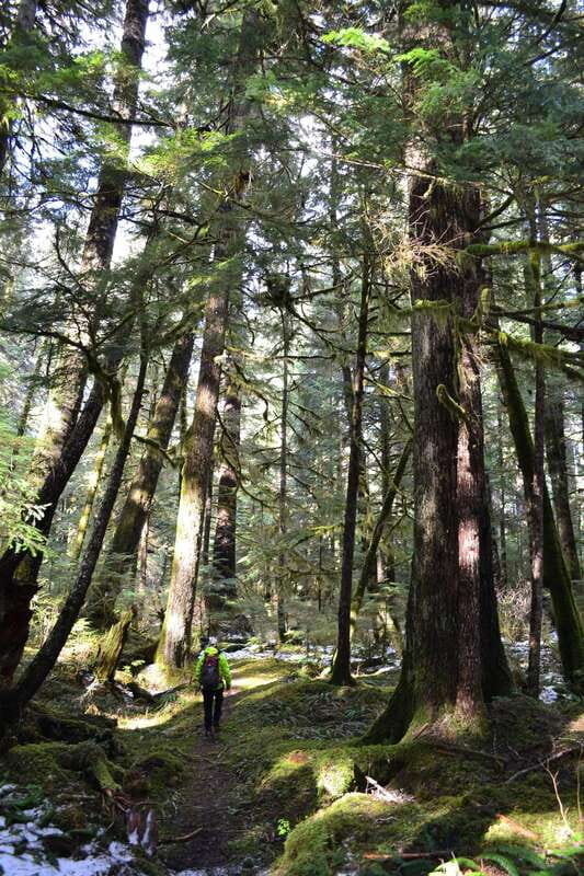 Cape Scott: San Josef Bay Day Hike with Scenic Drive - Key Points You Should Care About