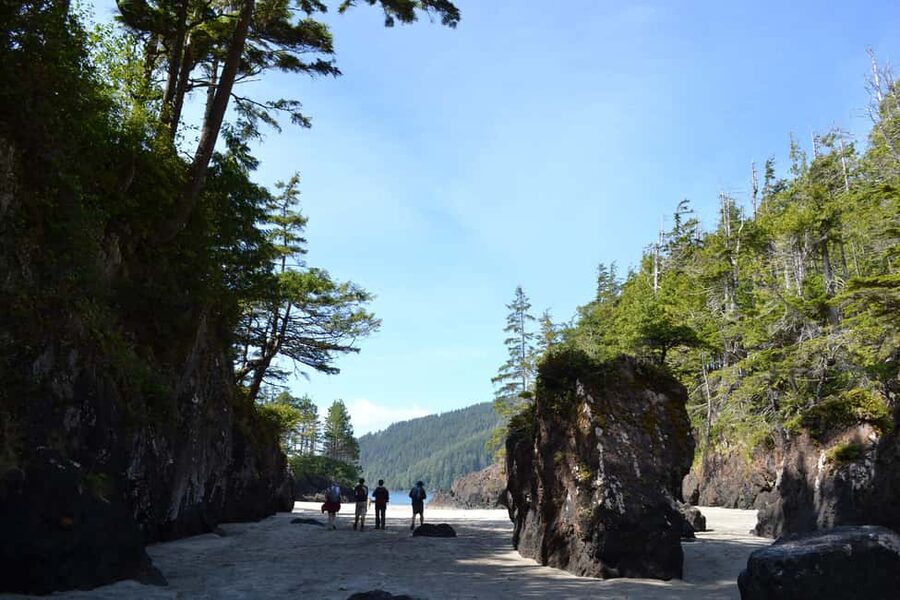 Cape Scott: San Josef Bay Day Hike with Scenic Drive - San Josef Bay Sounds Remote, Then Your Day Feels Organized