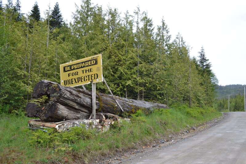 Cape Scott: San Josef Bay Day Hike with Scenic Drive - Wildlife Viewing Without the Pressure, What to Actually Do During the Day