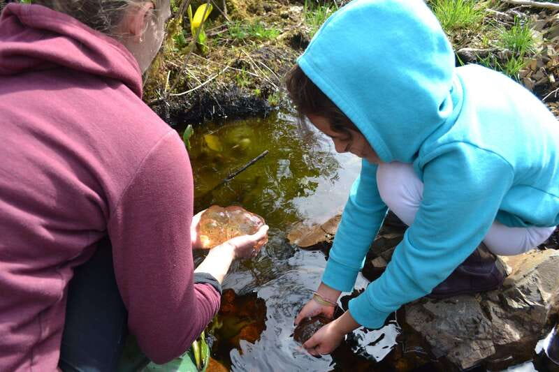 Cape Scott: San Josef Bay Day Hike with Scenic Drive - The Day’s Culture Stops: Lunch and Village Visits That Add Meaning