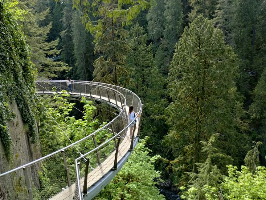 Capilano Br+Grouse Mtn+Dam+Lake&Hatcher/5in1/Small Group/Car - Key points before you go