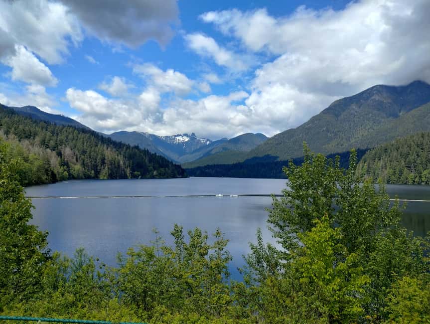 Capilano Br+Grouse Mtn+Dam+Lake&Hatcher/5in1/Small Group/Car - Capilano Suspension Bridge Park, Cliffwalk, and Treetops: the highlight that earns its hype