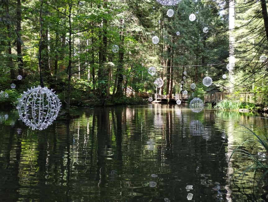 Capilano Br+Grouse Mtn+Dam+Lake&Hatcher/5in1/Small Group/Car - Grouse Mountain: grizzlies, chairlift views, and optional add-ons