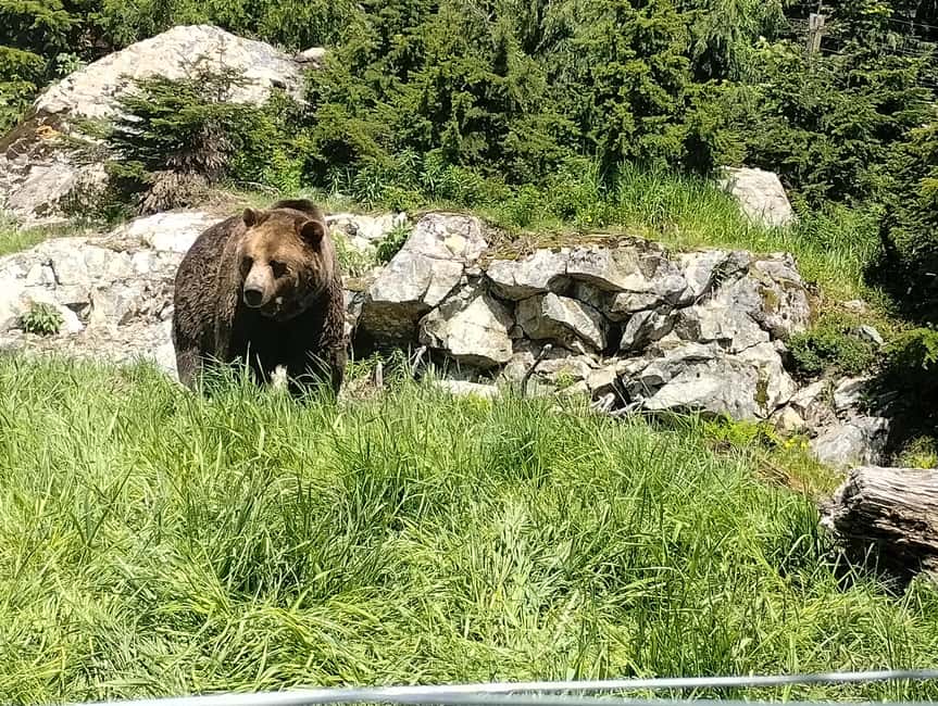 Capilano Br+Grouse Mtn+Dam+Lake&Hatcher/5in1/Small Group/Car - Cleveland Dam and the Capilano Reservoir: engineering views with a scenic walk