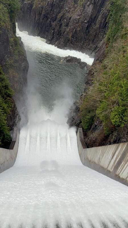 Capilano Br+Grouse Mtn+Dam+Lake&Hatcher/5in1/Small Group/Car - The Capilano Salmon Hatchery: the life cycle story you can actually see