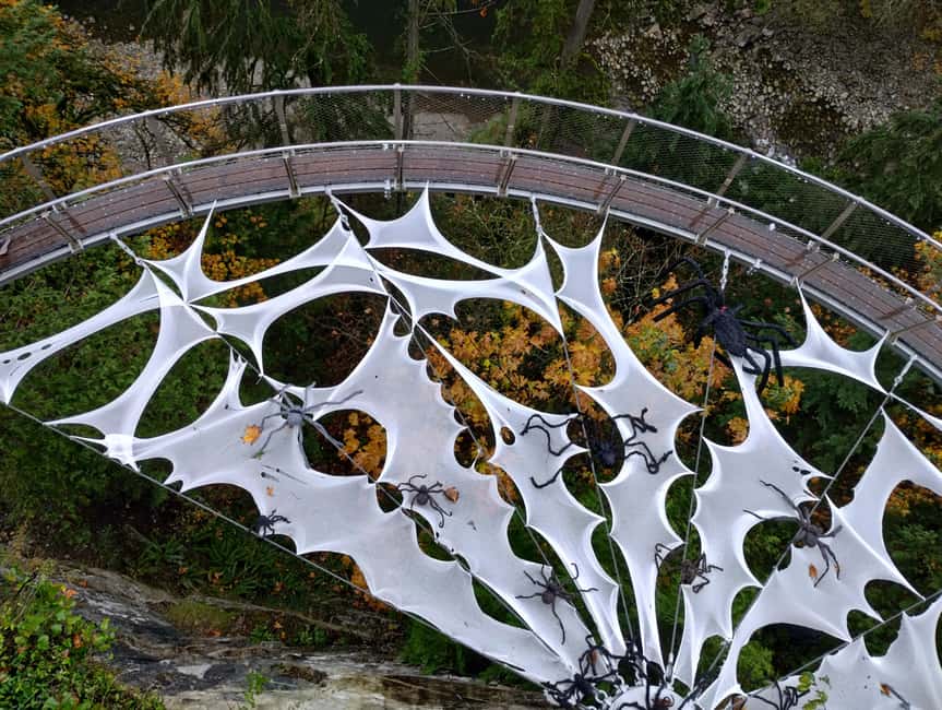 Capilano Suspension Br+Lake+Dam+Hachery/4in1/CAR/Small GROUP - Capilano Suspension Bridge Park: the 450-foot walk plus treetops