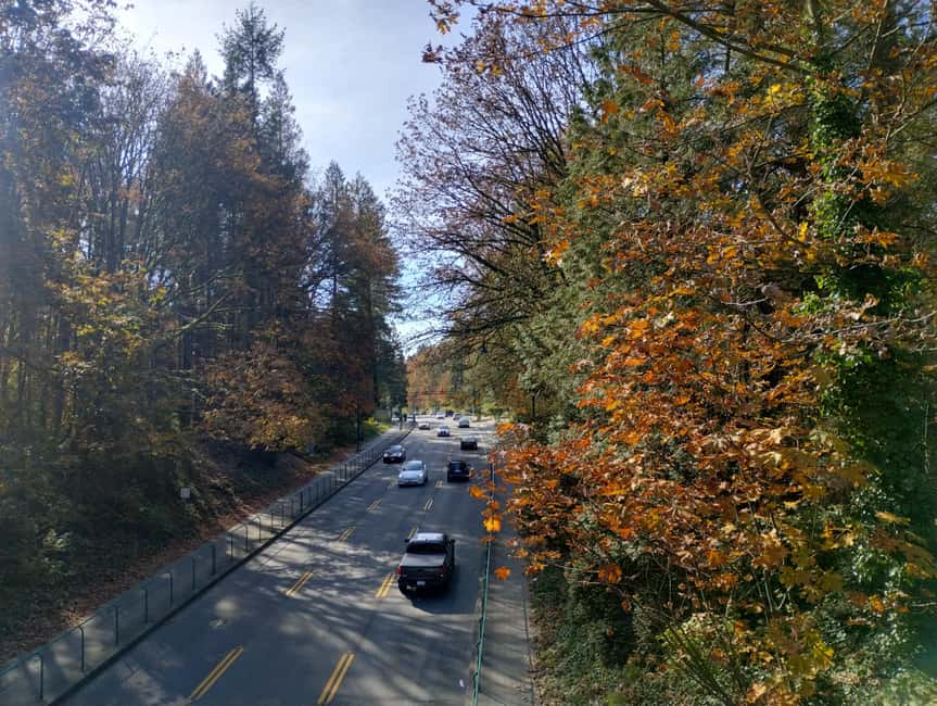 Capilano Suspension Br+Lake+Dam+Hachery/4in1/CAR/Small GROUP - Capilano Salmon Hatchery and Hatchery Museum