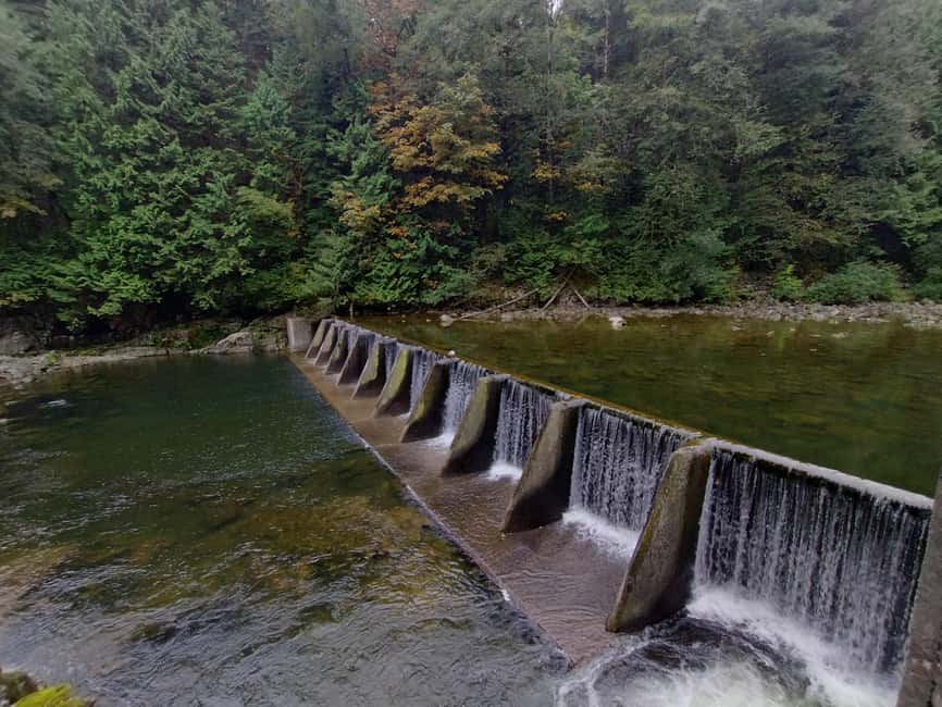 Capilano Suspension Br+Lake+Dam+Hachery/4in1/CAR/Small GROUP - Timing, comfort tips, and the picture-taking detail