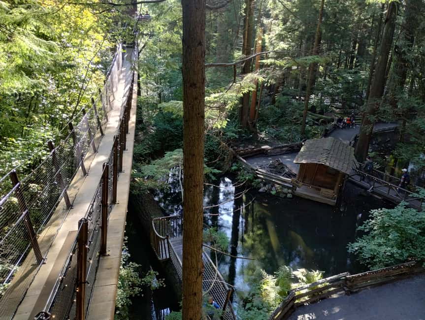 Capilano Suspension Br+Lake+Dam+Hachery/4in1/CAR/Small GROUP - Price and value: is $201 a good deal for Capilano, lake, and salmon?