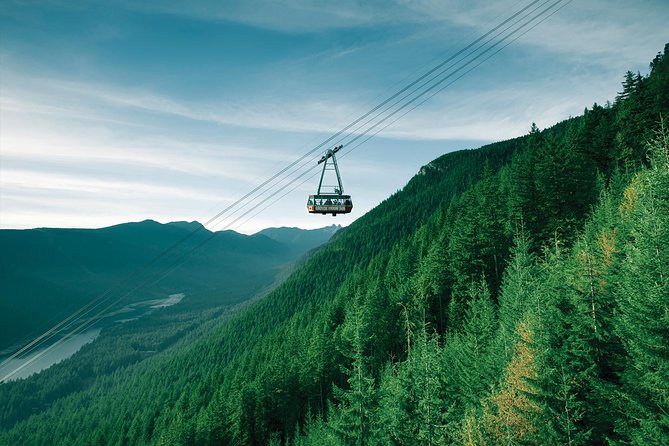 Capilano Suspension Bridge + Grouse Mountain Tour - Lions Gate to Capilano, the Perfect Warm-Up Drive