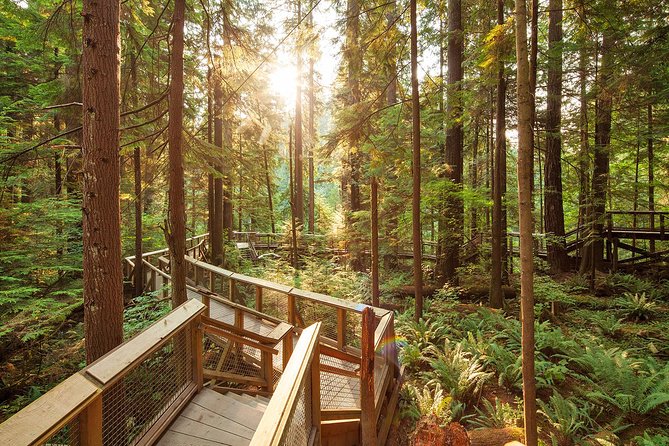 Capilano Suspension Bridge Park Ticket - On-Site Breaks: Cliff House Restaurant and the Trading Post