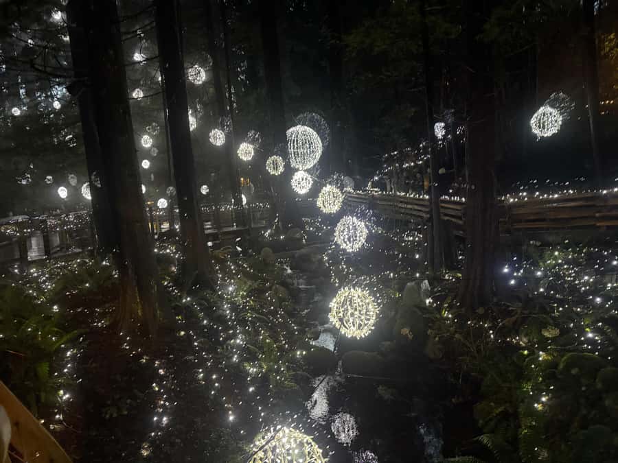 Capilano Suspension Bridge/Private/Small Group/By LUX CAR - Quick reasons this tour is worth your time