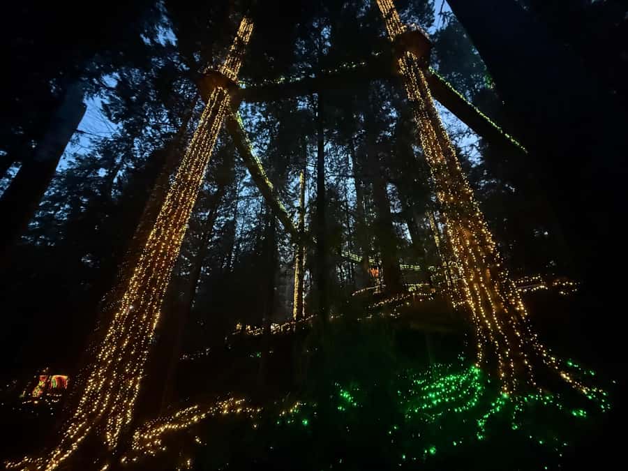 Capilano Suspension Bridge/Private/Small Group/By LUX CAR - Why a by-car private tour makes Capilano easier